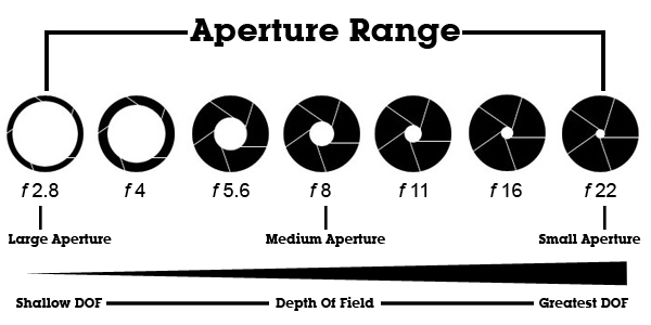 Dof Master Chart